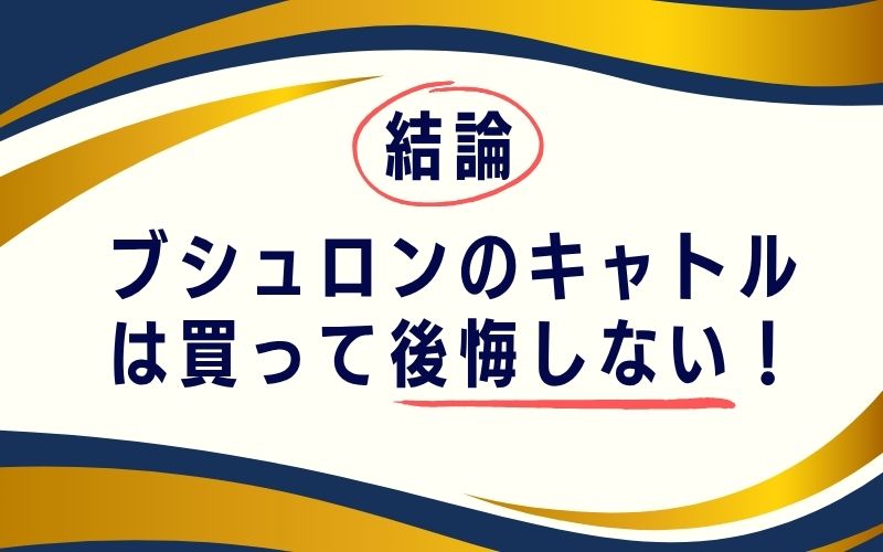 結論:ブシュロンのキャトルは買って後悔しない!