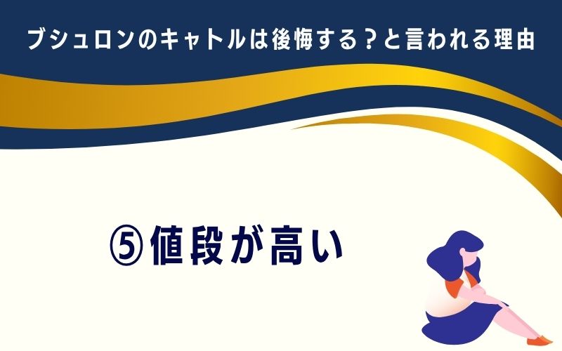 ブシュロンのキャトルは後悔する?と言われる理由5:値段が高い